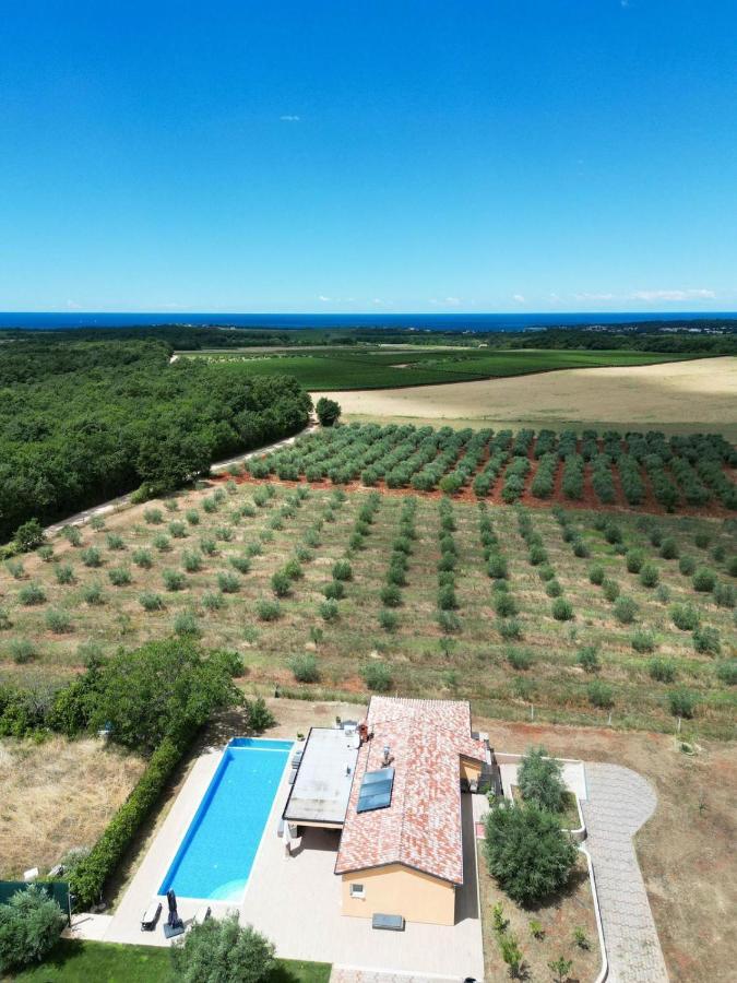 Villa Absolute Privacy Novigrad Istria Eksteriør bilde